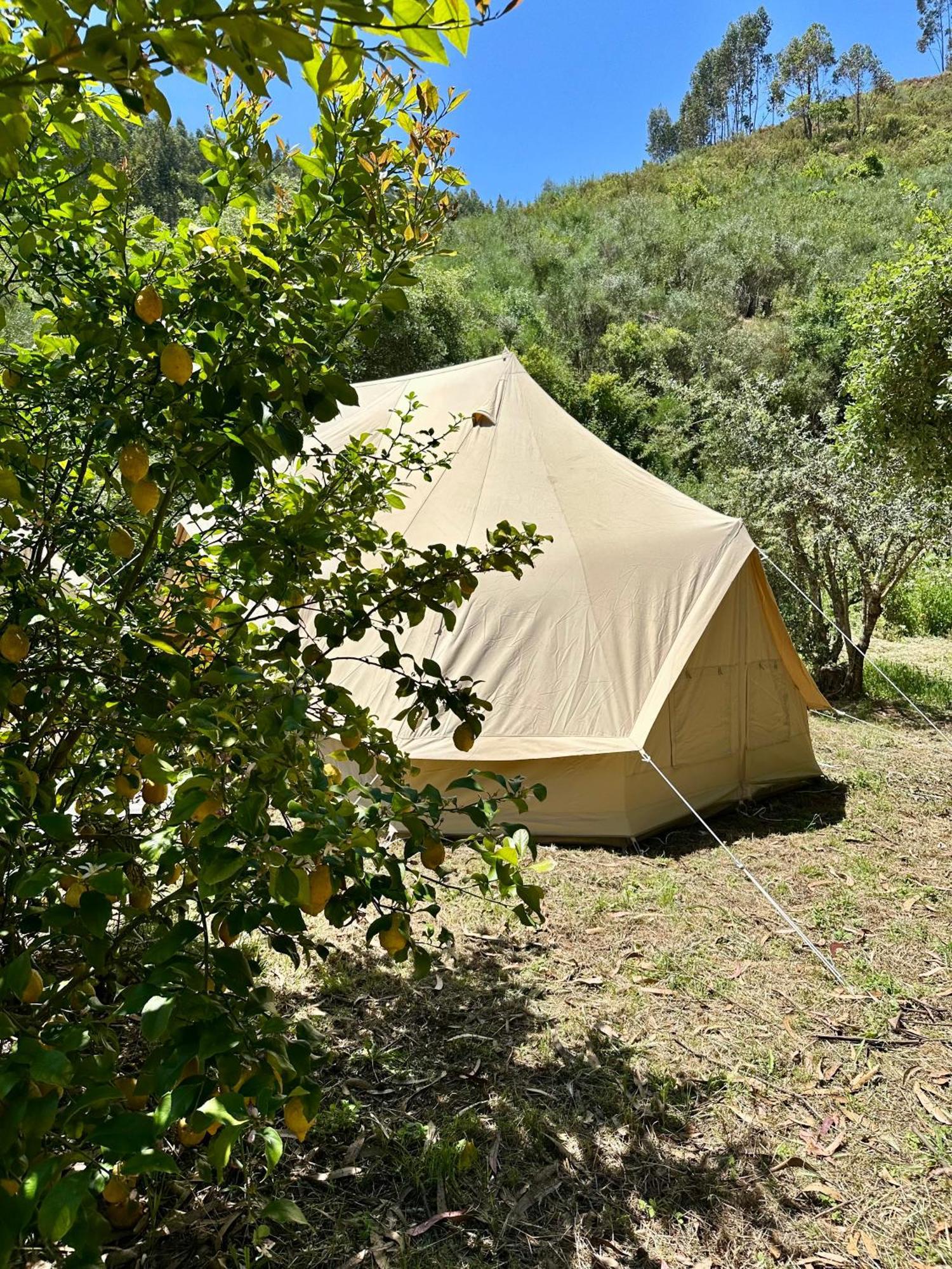 Giant Canvas Rental Tent Agro-Turismo Quinta Da Fonte Figueiro Dos Vinhos Exteriér fotografie