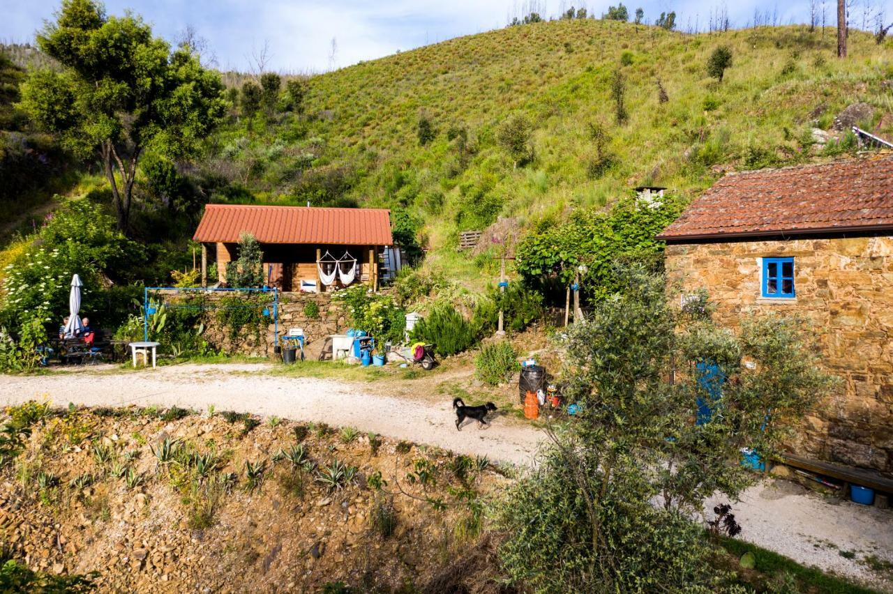 Giant Canvas Rental Tent Agro-Turismo Quinta Da Fonte Figueiro Dos Vinhos Exteriér fotografie